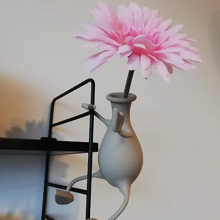 Happiness Appartement Le Coq